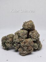 Killer Chimera Right Hemisphere Genetics