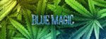Blue Magic- Copycat Genetix (pree order shipping mid September)